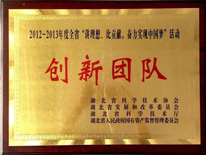 湖北省2012-2013年度“講理想，比貢獻(xiàn)”創(chuàng)新團(tuán)隊(duì).jpg