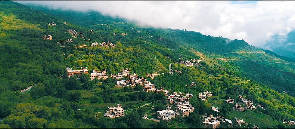 四川省尊龍集團廉潔公益宣傳片