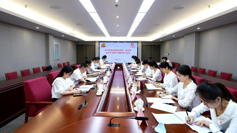 尊龍凱時(shí)集團(tuán)黨委書記、董事長(zhǎng)任丁參加總部第一黨支部黨史學(xué)習(xí)教育專題組織生活會(huì)
