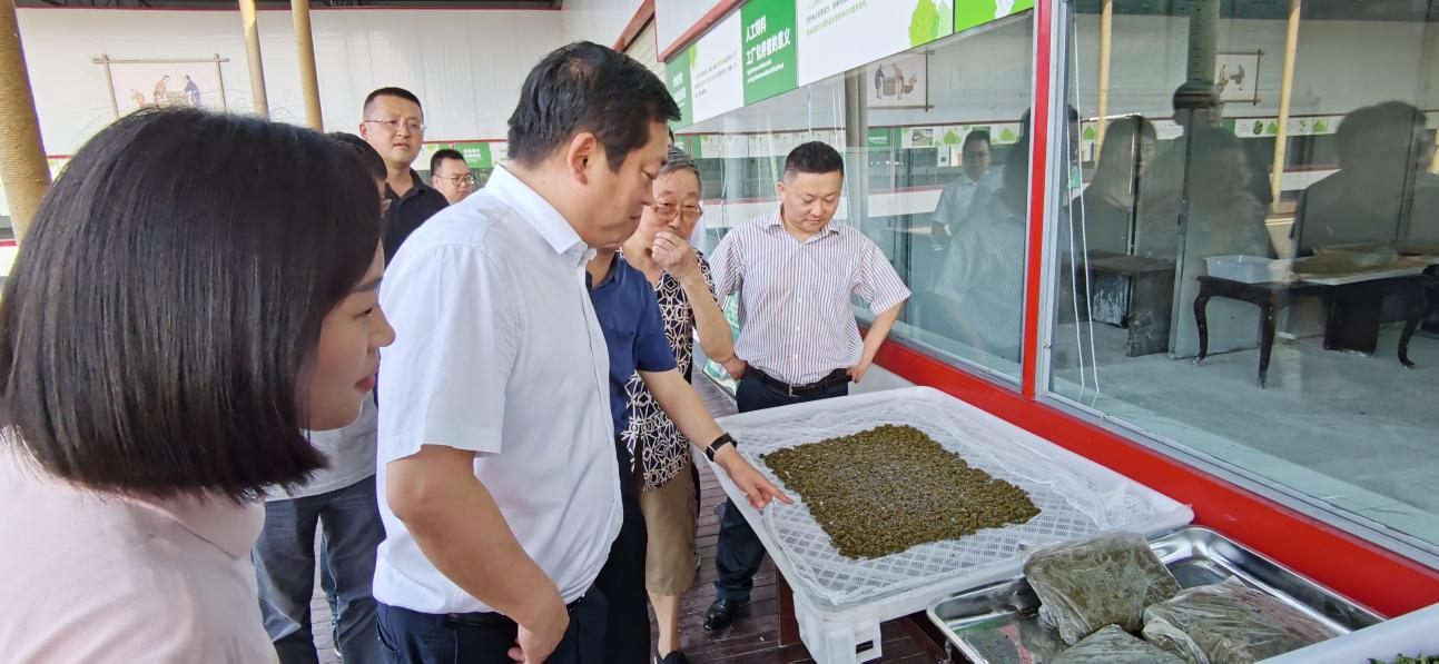 省尊龍凱時集團黨委副書記、董事陳日赴嘉陵區(qū)調(diào)研茶桑產(chǎn)業(yè)發(fā)展情況