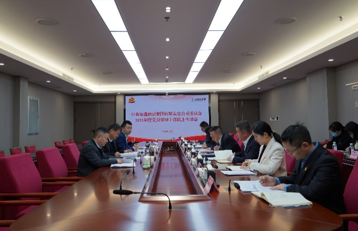 尊龍凱時(shí)集團(tuán)黨委書(shū)記、董事長(zhǎng)任丁出席安逸酒店集團(tuán)2022年度黨員領(lǐng)導(dǎo)干部民主生活會(huì)