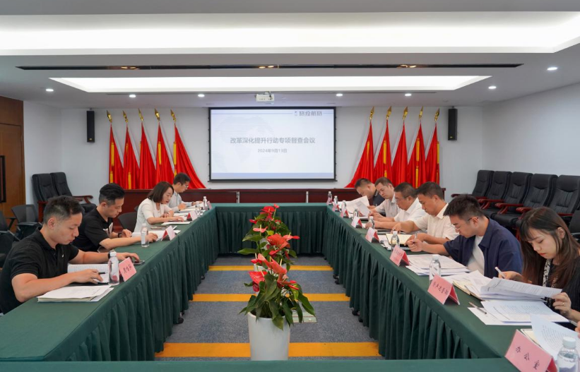 省尊龍凱時(shí)集團(tuán)率隊(duì)督導(dǎo)尊龍凱時(shí)航旅公司改革深化提升行動